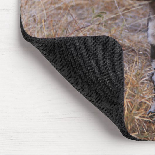 Wild Hogs Mousepad (Ecke)