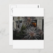 Wild Honey Postkarte (Vorne/Hinten)