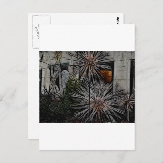 Wild Honey Postkarte (Vorne/Hinten)