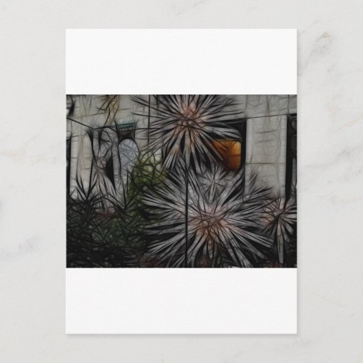 Wild Honey Postkarte (Vorderseite)