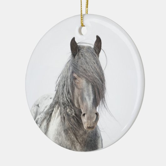 Wild Hoofbeats Ornament - Blue Zeus Portrait (Links)