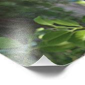 Wild-Hoot-Geflügel im Wald Fotodruck (Ecke)