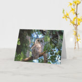 Wild-Hoot-Geflügel im Wald Karte (Gelbe Blume)