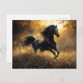 Wild Horse Black Stallion Mustang Postkarte (Vorne/Hinten)