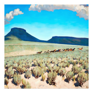 „Wild Horse Country“ von Maynard Dixon Fotodruck