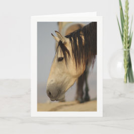WILD HORSE DER UTAH GREETING CARD KARTE
