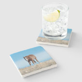 Wild Horse Foal Steinuntersetzer (Seitenansicht)