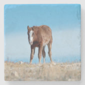 Wild Horse Foal Steinuntersetzer (Vorderseite)