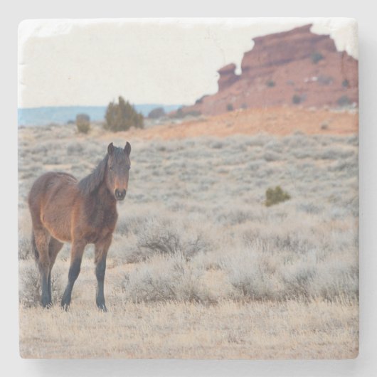 Wild-Horse-Foal-Untersetzer Steinuntersetzer (Vorderseite)