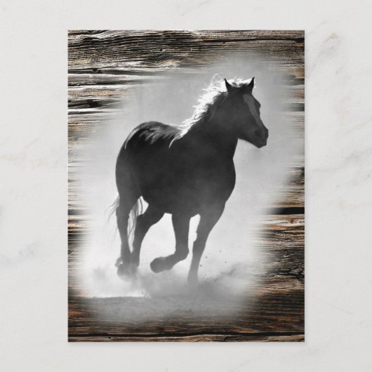 Wild Horse Galloping Postkarte (Vorderseite)