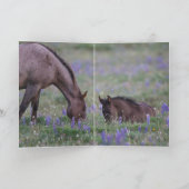 Wild Horse Greeting Card - Filly in the Lupine Karte (Innenseite)