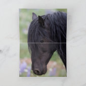 Wild Horse Greeting Card - Galaxy Trots Karte (Innenseite)