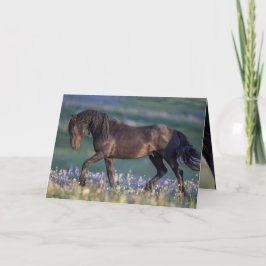 Wild Horse Greeting Card - Galaxy Trots Karte