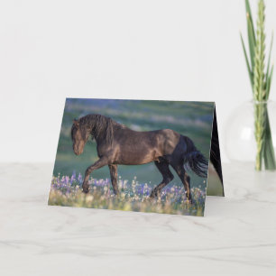 Wild Horse Greeting Card - Galaxy Trots Karte
