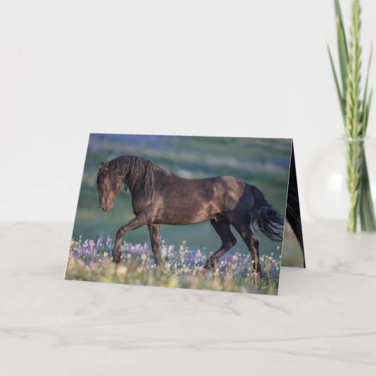 Wild Horse Greeting Card - Galaxy Trots Karte (Vorderseite)