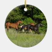 Wild Horse Herd Keramik Ornament (Hinten)