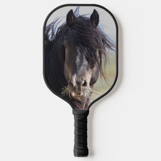 Wild Horse Jet Stream Pickleball Schläger (Vorderseite)