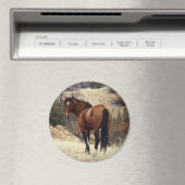 Wild Horse Magnet (In Situ (Geschirrspüler))