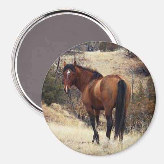 Wild Horse Magnet (Vorderseite/Rückseite)