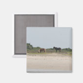 Wild Horse Magnet (Vorderseite/Rückseite)