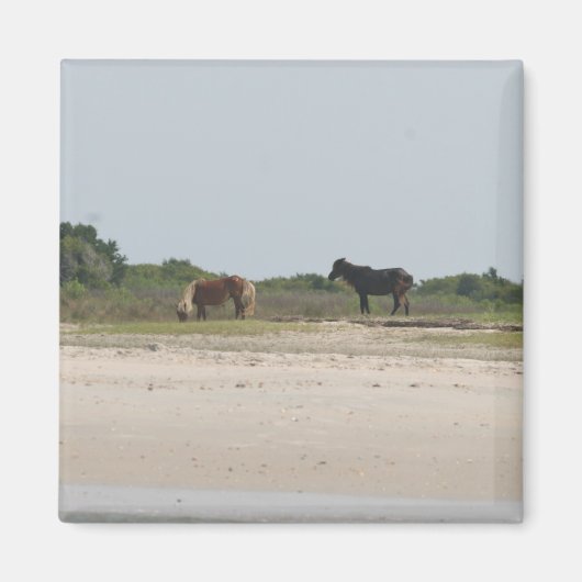 Wild Horse Magnet (Vorne)