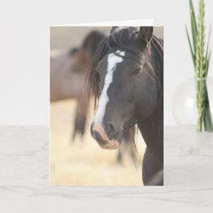 WILD HORSE NOTE CARD KARTE