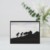 Wild Horse Postcard Postkarte (Stehend Vorderseite)