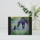 Wild Horse Postcard Postkarte (Stehend Vorderseite)