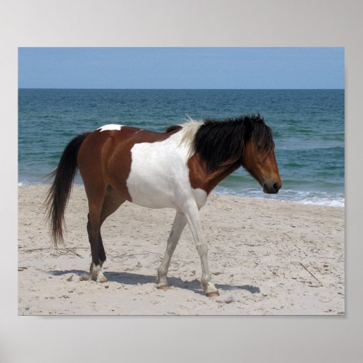 Wild Horse Poster (Vorne)