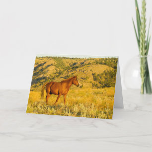 Wild Horse Sanctuary. Karte