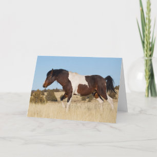 Wild Horse, Steens Mountains Karte