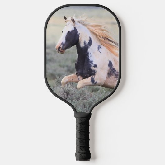 Wild Horse Thor Pickleball Schläger (Vorderseite)