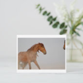 WILD HORSE VON UTAH IN WESTERN DESERT POSTKARTE (Stehend Vorderseite)