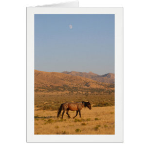 WILD HORSE WALKING MIT NEUER MOON NOTECARD