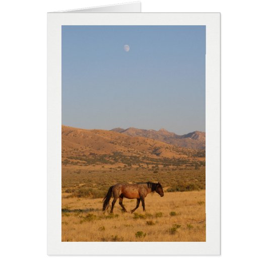 WILD HORSE WALKING MIT NEUER MOON NOTECARD (Vorne)