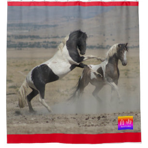 WILD-HORSEN VON UTAH PINTO FIGHTING SHOWER CURTAIN DUSCHVORHANG