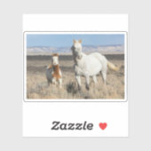 Wild Horses at Home in the Sandwash Basin Aufkleber (Blatt)
