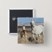 Wild Horses at Home in the Sandwash Basin Button (Vorne & Hinten)