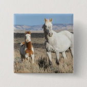 Wild Horses at Home in the Sandwash Basin Button (Vorderseite)