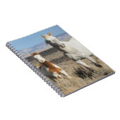 Wild Horses at Home in the Sandwash Basin Notizblock (Rechte Seite)