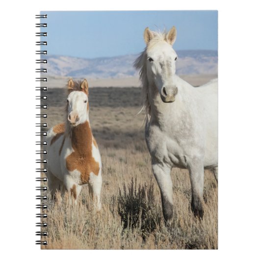 Wild Horses at Home in the Sandwash Basin Notizblock (Vorderseite)