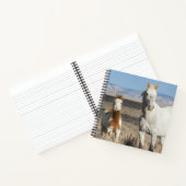 Wild Horses at Home in the Sandwash Basin Notizblock (Innenseite)