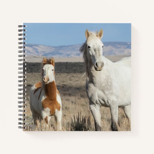 Wild Horses at Home in the Sandwash Basin Notizblock (Vorderseite)