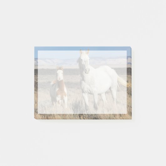 Wild Horses at Home in the Sandwash Basin Post-it Klebezettel (Vorderseite)