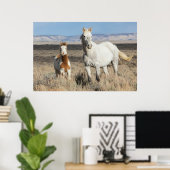 Wild Horses at Home in the Sandwash Basin Poster (Heimbüro)
