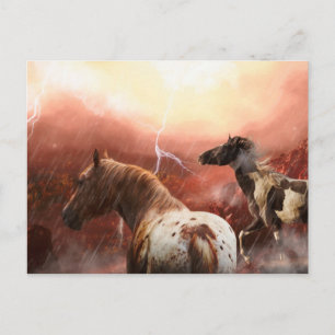 WILD HORSES DESERT STORM POSTKARTE