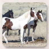 WILD HORSES GETRÄNKEUNTERSETZER (Vorderseite)