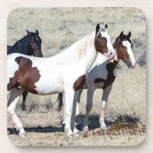 WILD HORSES GETRÄNKEUNTERSETZER