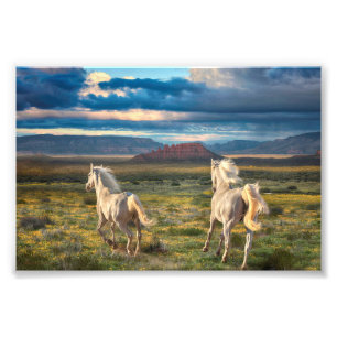WILD HORSES "Live to Run" Fotodruck