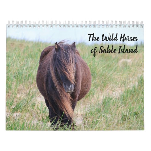 Wild Horses of Sable Island Calendar Kalender (Titelbild)